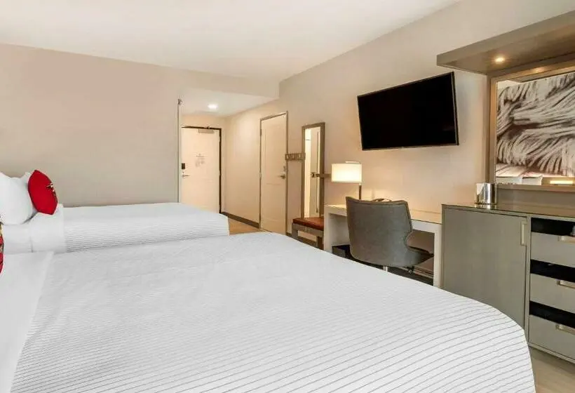 2ダブルベッドのスタンダードルーム, Cambria Hotel Rock Hill University Center