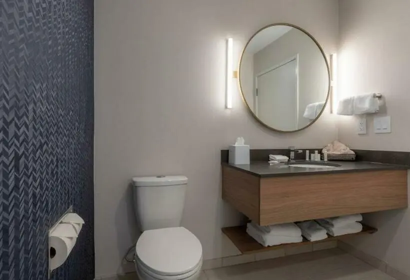 キングサイズベッドのスタンダードルーム, Fairfield By Marriott Inn & Suites Revelstoke