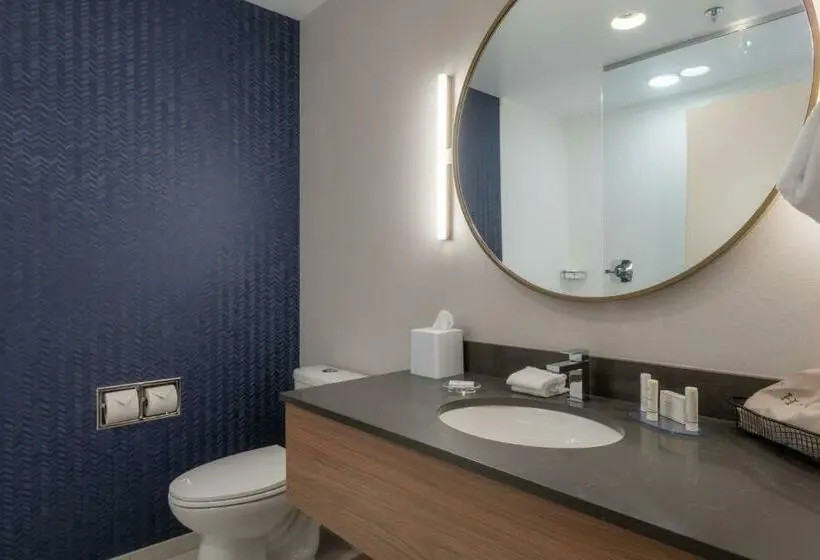 キングサイズベッドのスタンダードルーム, Fairfield By Marriott Inn & Suites Revelstoke