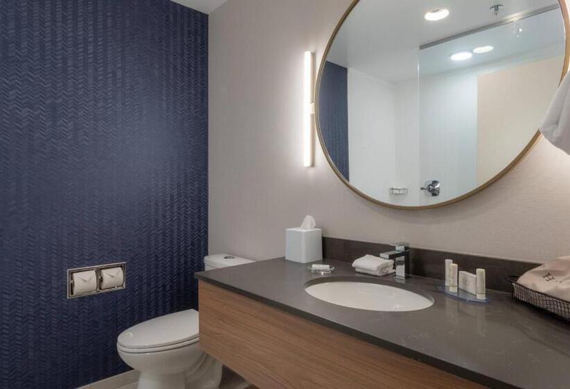 جناح سرير كينج, Fairfield By Marriott Inn & Suites Revelstoke