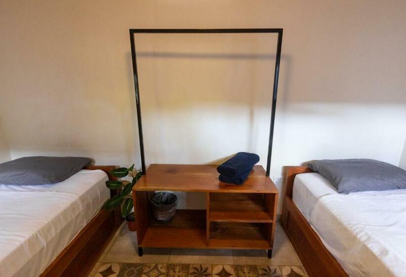 Номер Стандарт, Wao Jungle Venao