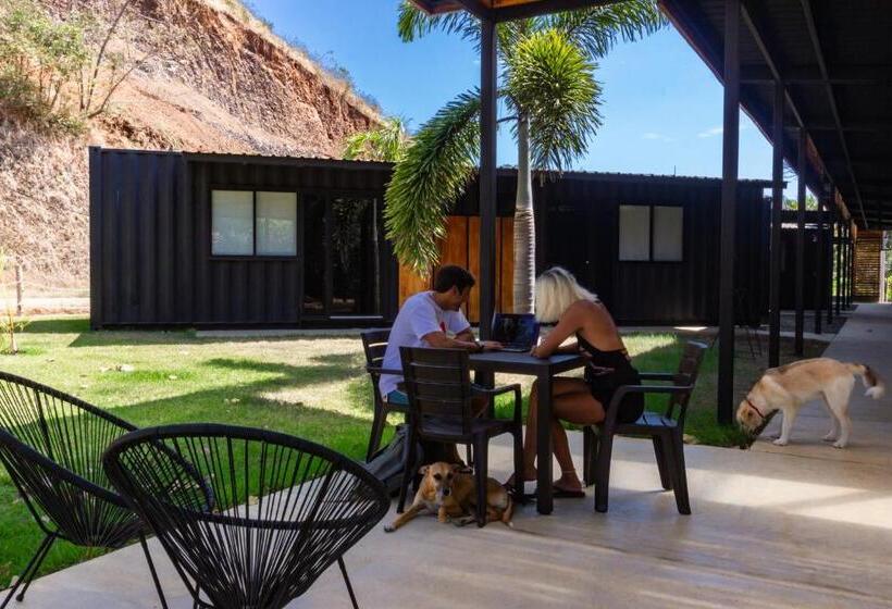 Студия Стандарт, Wao Jungle Venao