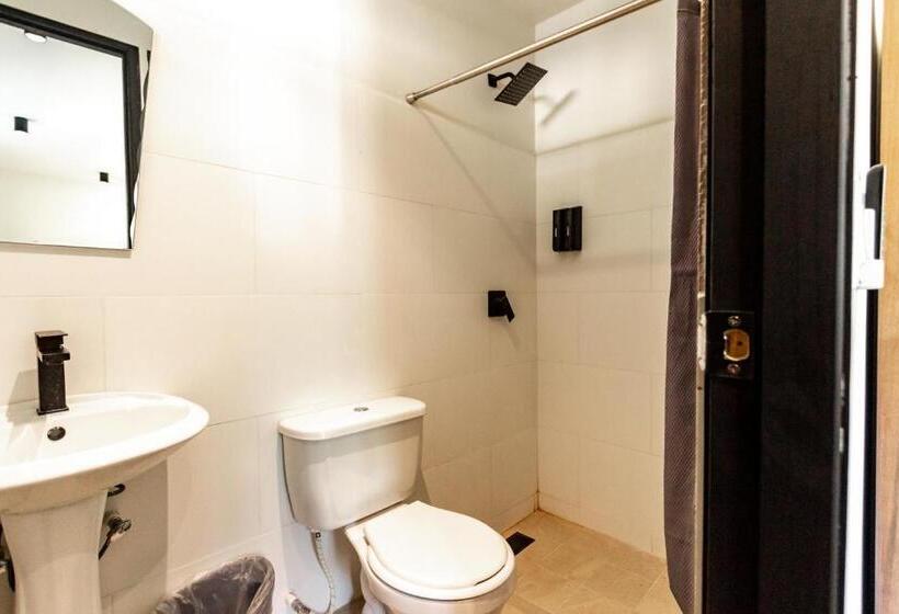 Студия Стандарт, Wao Jungle Venao