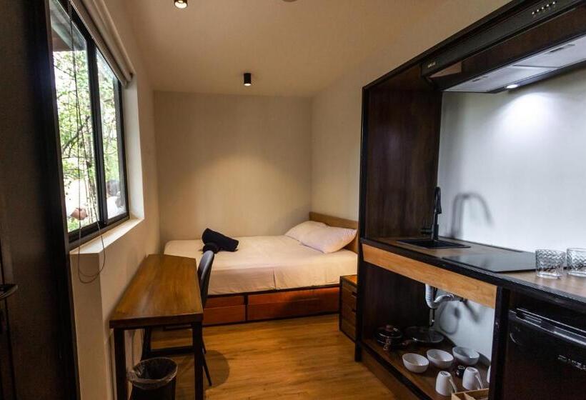 Студия Стандарт, Wao Jungle Venao