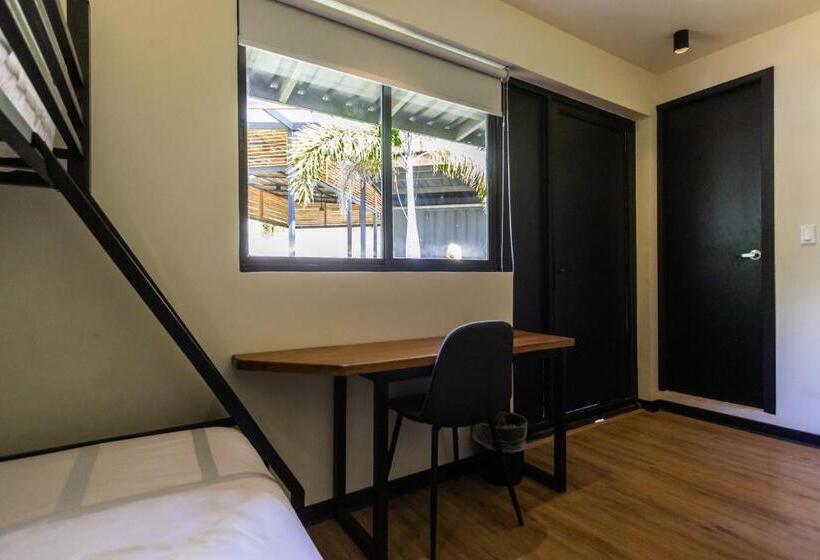 Семейное Студио, Wao Jungle Venao