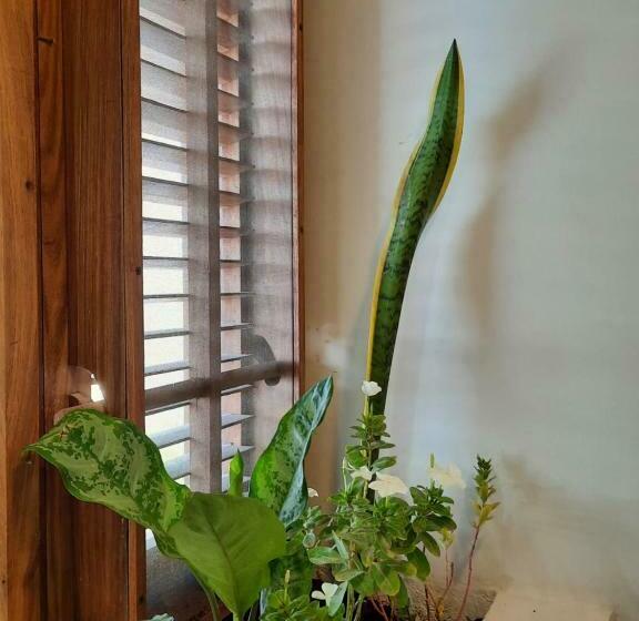 キングサイズベッドのスタンダードルーム, Aluna Paje