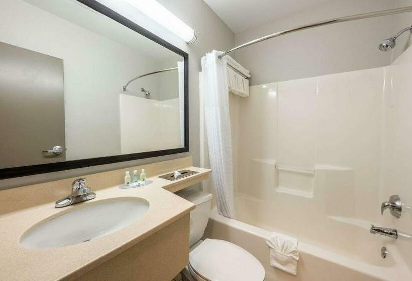 带2个双人床的标准工作室, Quality Inn Poughkeepsie