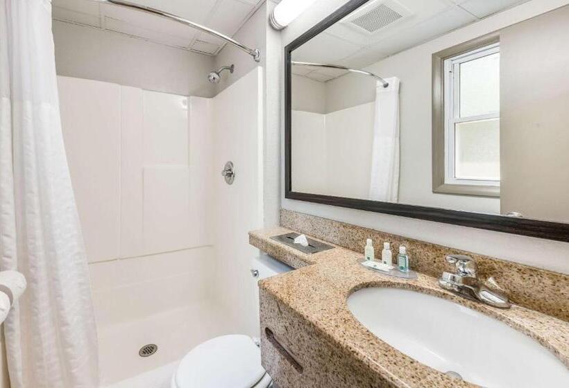 带大床的标准间, Quality Inn Poughkeepsie