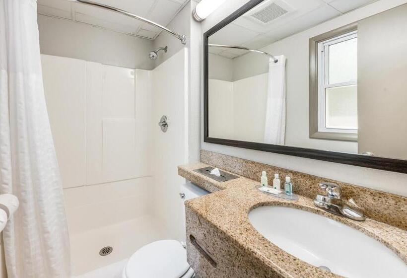 Стандартный Номер Кровать Кинг, Quality Inn Poughkeepsie