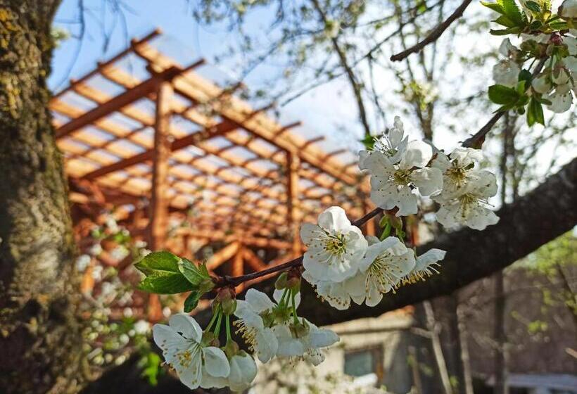 Шале Superior 1 Спальня, Jermatun Guest House
