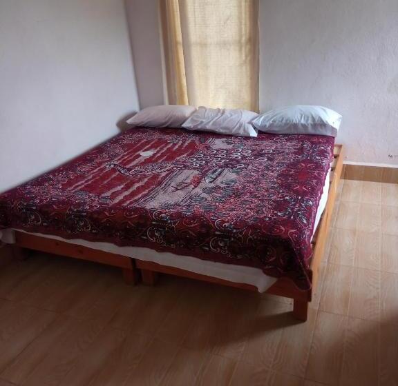 ファミリールーム, Room In Guest Room   Lodging And Camping The Island