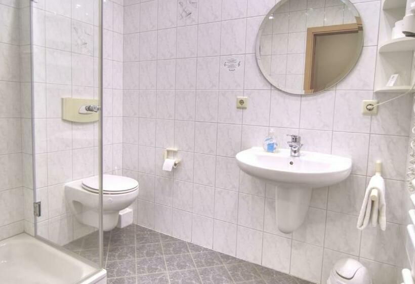 标准单人间, Heilemann