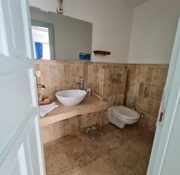 اتاق استاندارد با چشم‌انداز استخر, Rebetiko