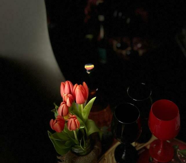 اتاق لوکس, Casa Lupascu