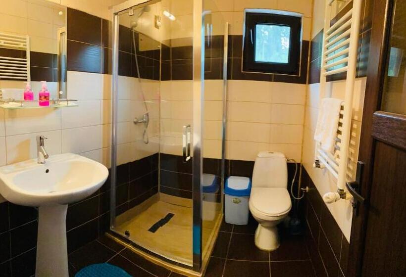 اتاق استاندارد چهار تخته, Casa Lupascu