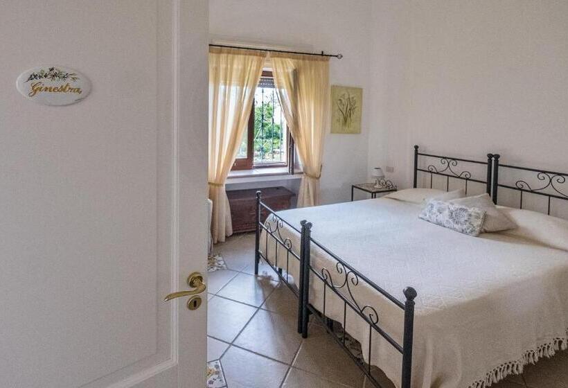 标准间, B&b Il Vicolo