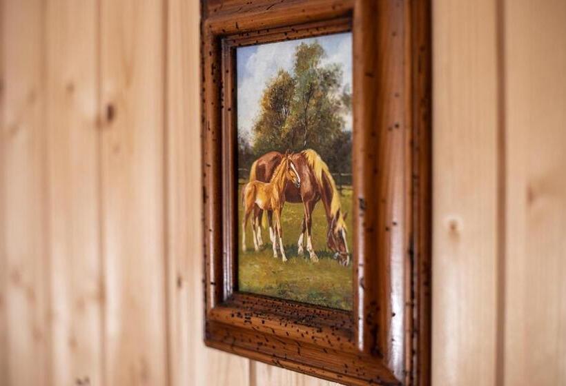 스탠다드 룸 공동 욕실, Hof Tschannen