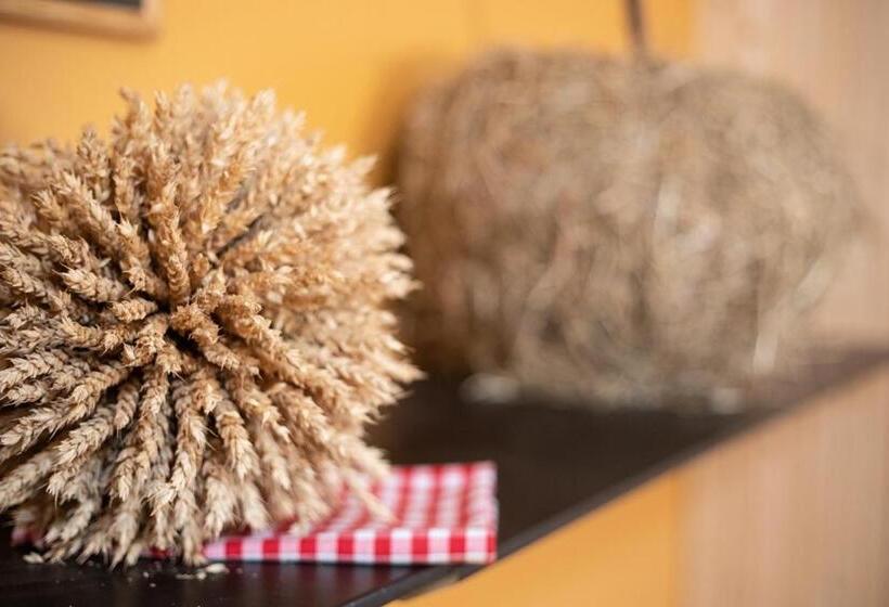 패밀리 룸 공용 욕실, Hof Tschannen