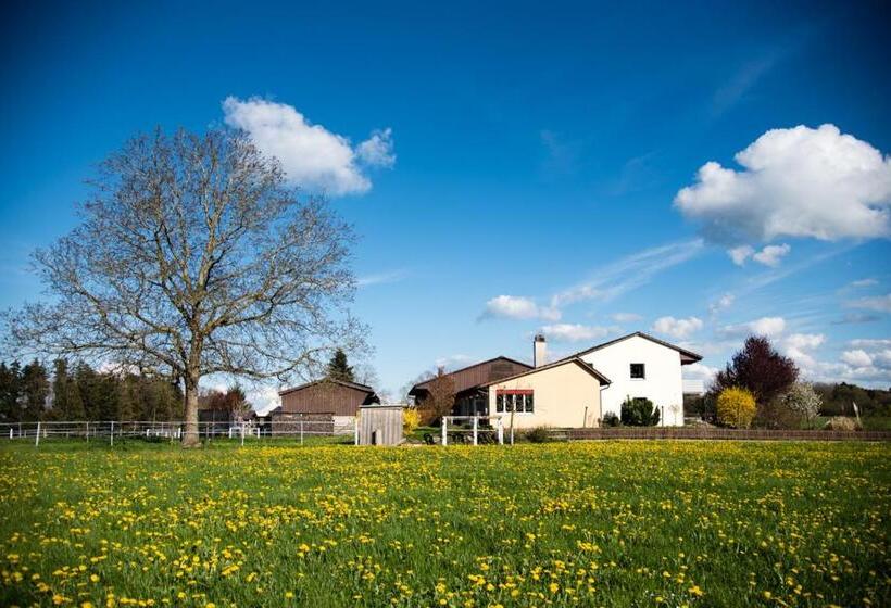 스탠다드 룸 공동 욕실, Hof Tschannen