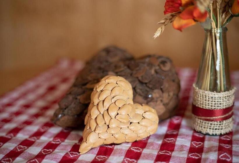 스탠다드 룸 공동 욕실, Hof Tschannen