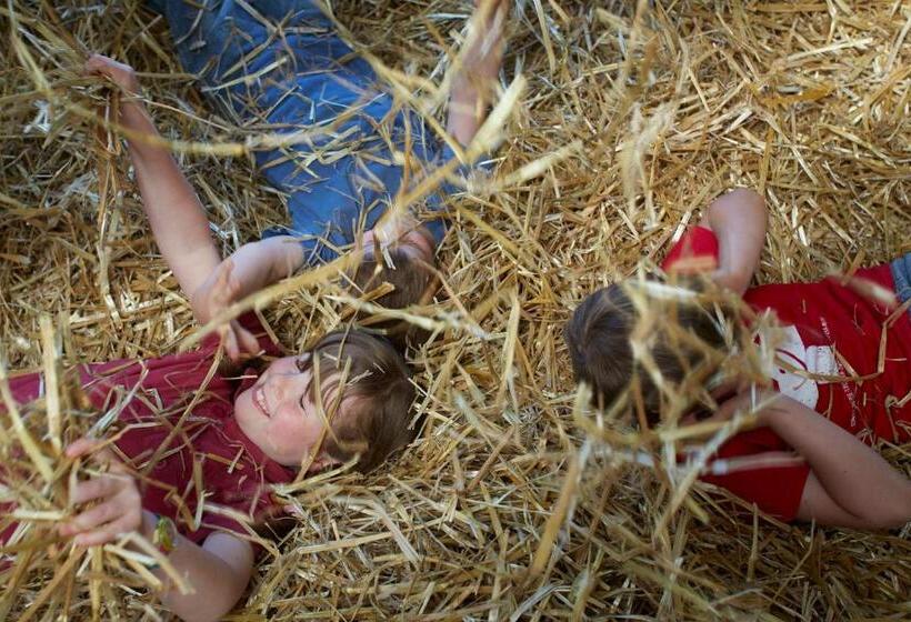 패밀리 룸 공용 욕실, Hof Tschannen