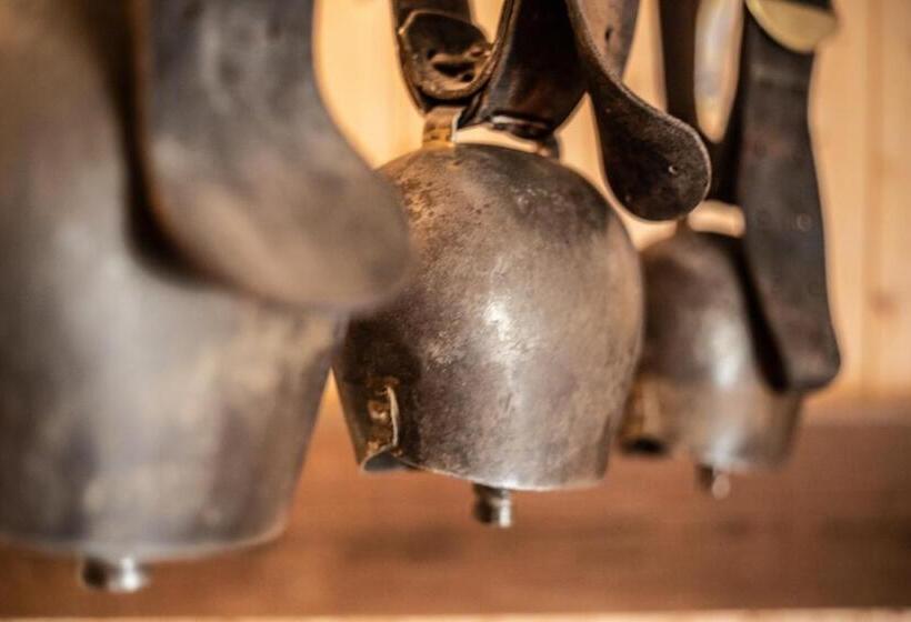 스탠다드 트리픔 룸 공동욕실, Hof Tschannen