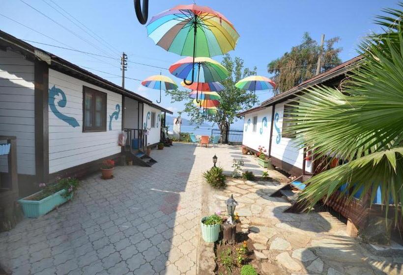 اتاق استاندارد, Blu Brezza Marine