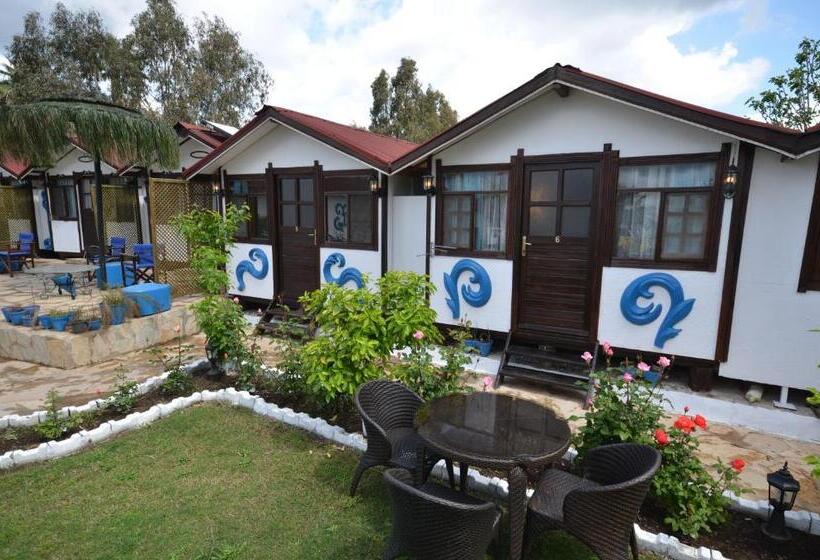 اتاق خانوادگی, Blu Brezza Marine