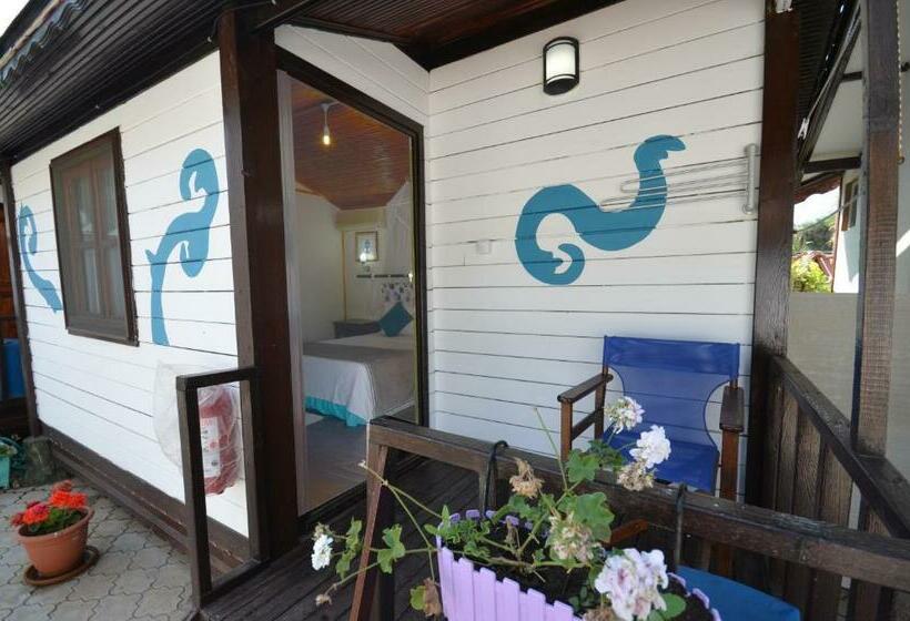 اتاق استاندارد, Blu Brezza Marine