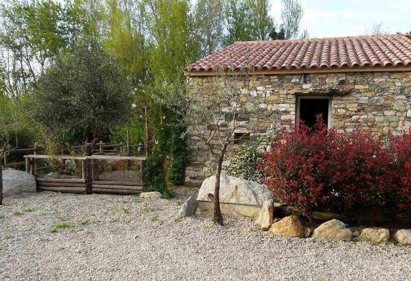 منزل غرفتين نوم, Domaine Casa Andria