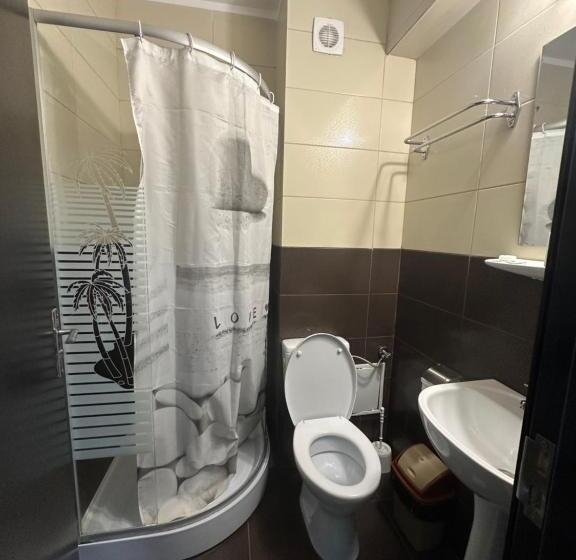 标准间, Pensiunea Andra