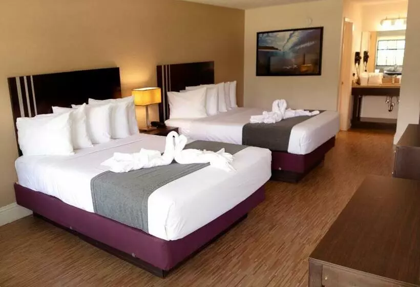 اتاق لوکس, Avanti International Resort