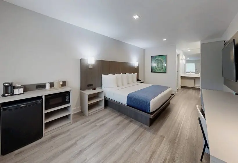 اتاق لوکس, Avanti International Resort