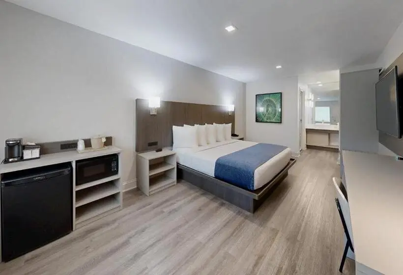 اتاق لوکس با تخت بزرگ, Avanti International Resort
