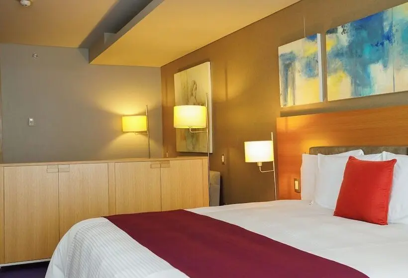 سوئیت جونیور پریمیوم, Barceló México Santa Fe