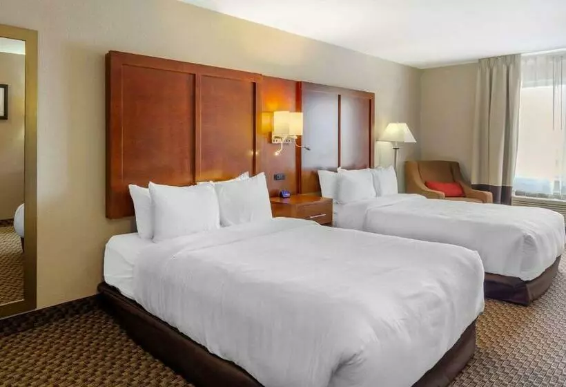 اتاق استاندارد, Comfort Inn Sterling