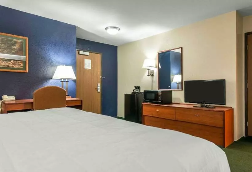 اتاق استاندارد با تخت بزرگ, Comfort Inn Sterling