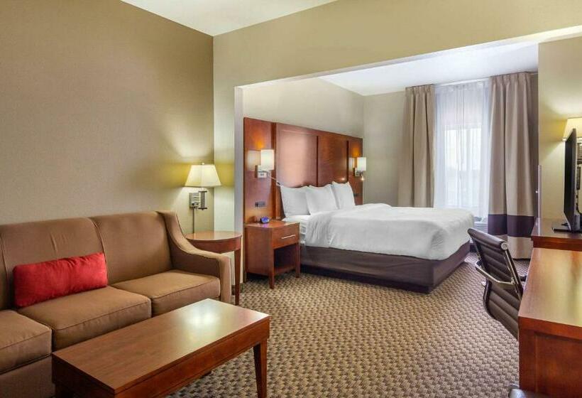 جناح سرير كينج, Comfort Inn Sterling