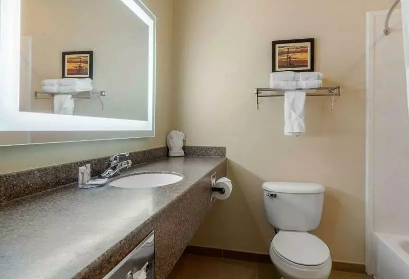 سوئیت با تخت بزرگ, Comfort Inn Sterling