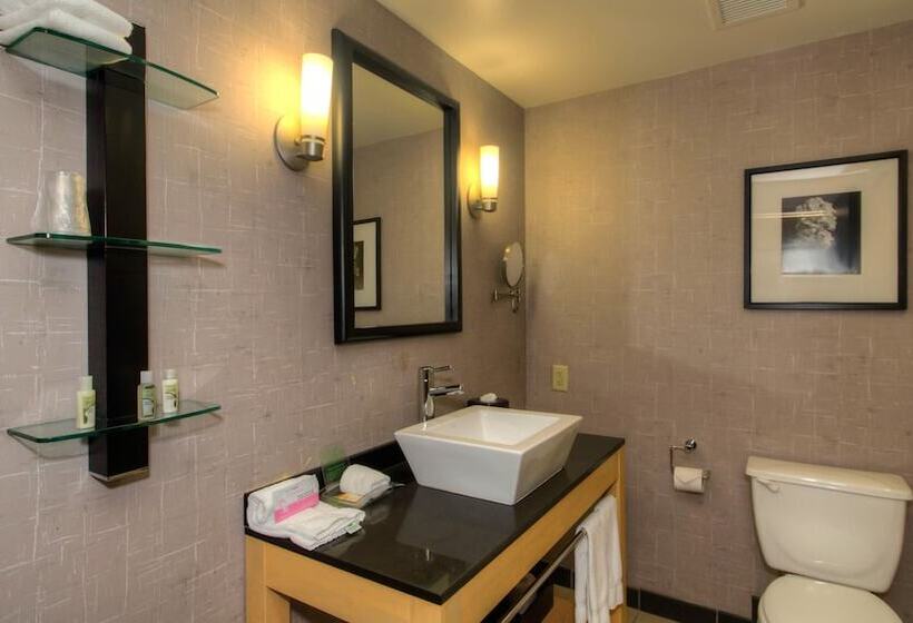 סוויטת 2 חדרי שינה, Holiday Inn Boise Airport, An Ihg