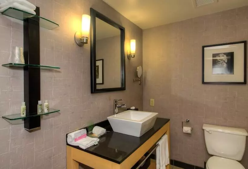 ２ベッドスイートルーム, Holiday Inn Boise Airport, An Ihg