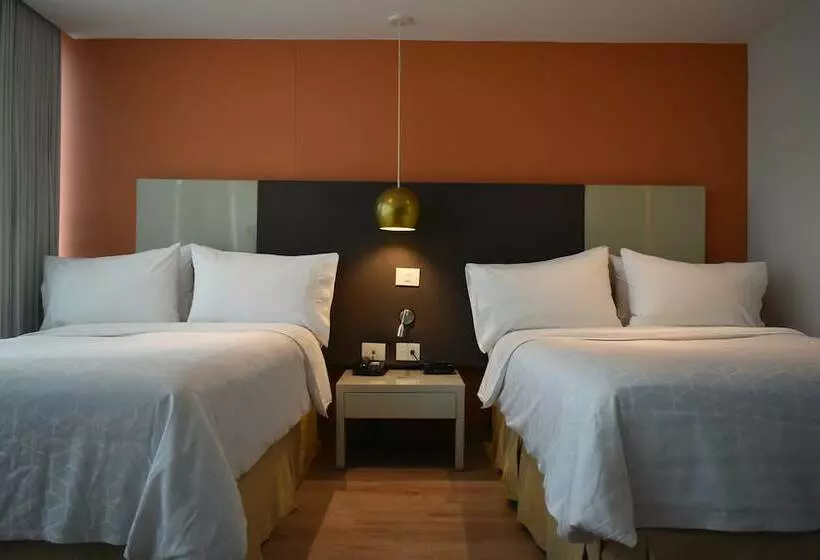 سوییت, Holiday Inn Express & Suites Medellin, An Ihg