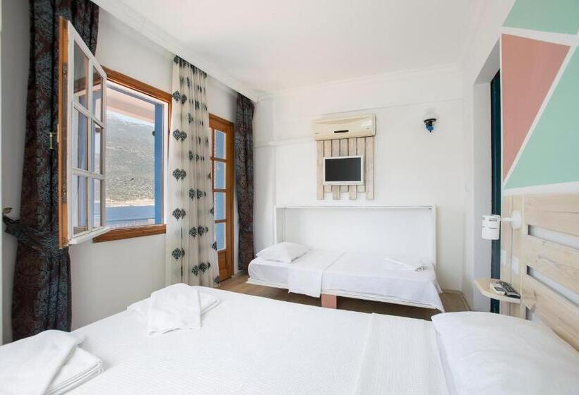 חדר סטנדרט לשלושה, Korsanada