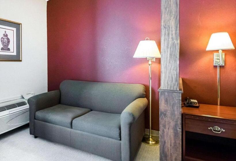 带大床的标准间, Quality Inn & Suites