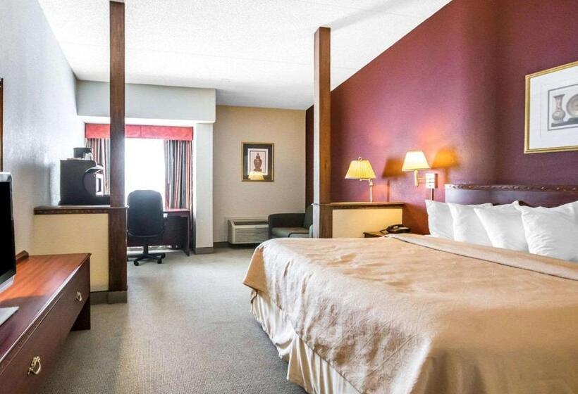 带大床的套房, Quality Inn & Suites