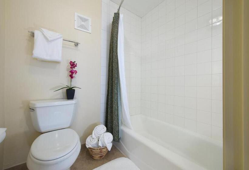 إستوديو قياسى, The Rockwell Inn