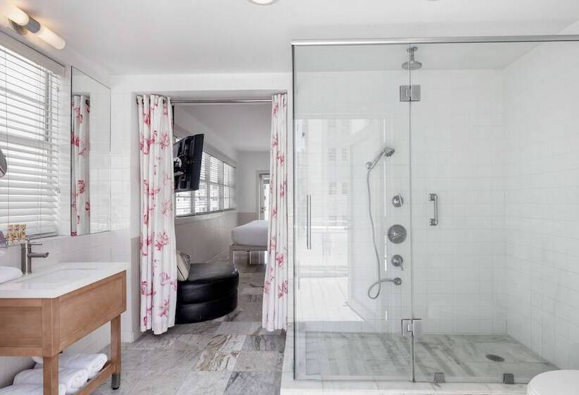 חדר פנטהאוז, Townhouse  Miami
