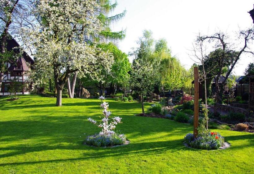 Студия Deluxe, Vier Spitzen