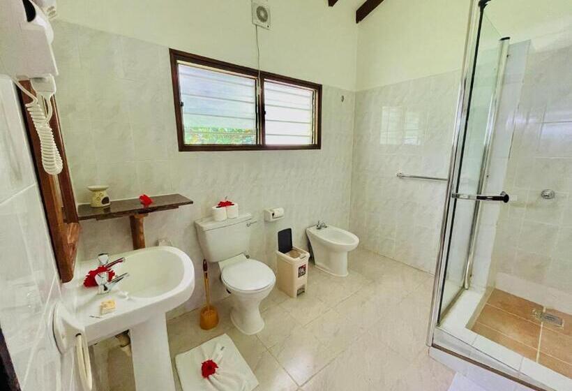 اتاق سوپریور با چشمانداز باغ, Villa Chez Batista