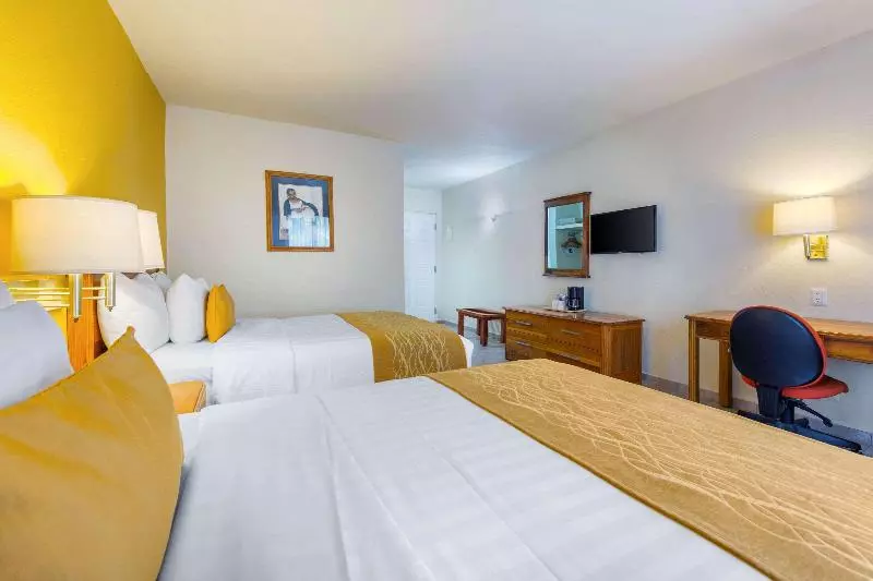 اتاق استاندارد, Comfort Inn Tampico